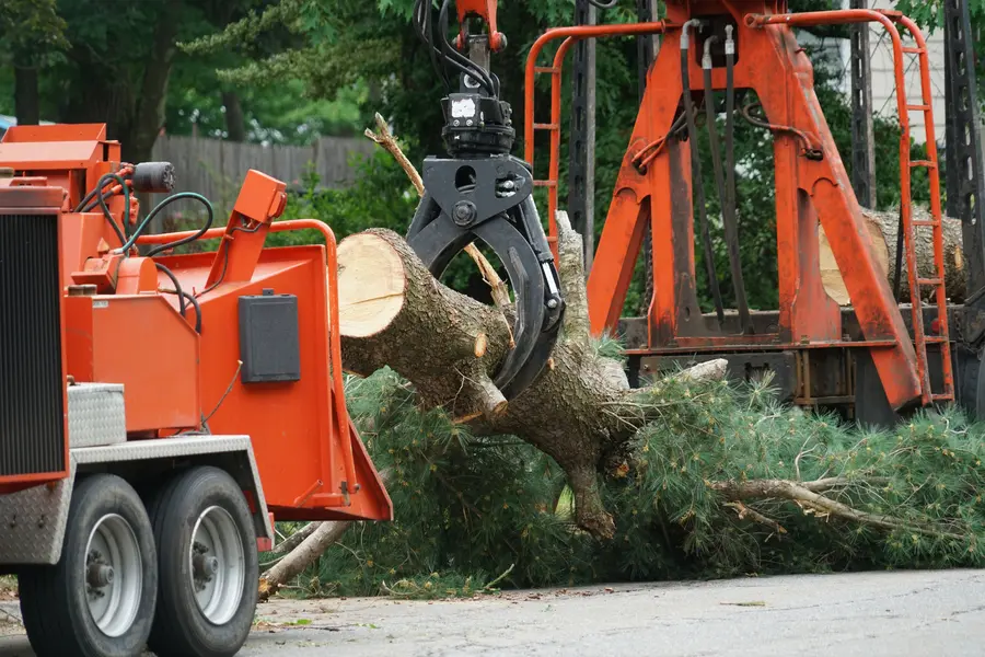 Excellent Tree Services Pollock Pines, CA Excellent Tree Services Pollock Pines, CA