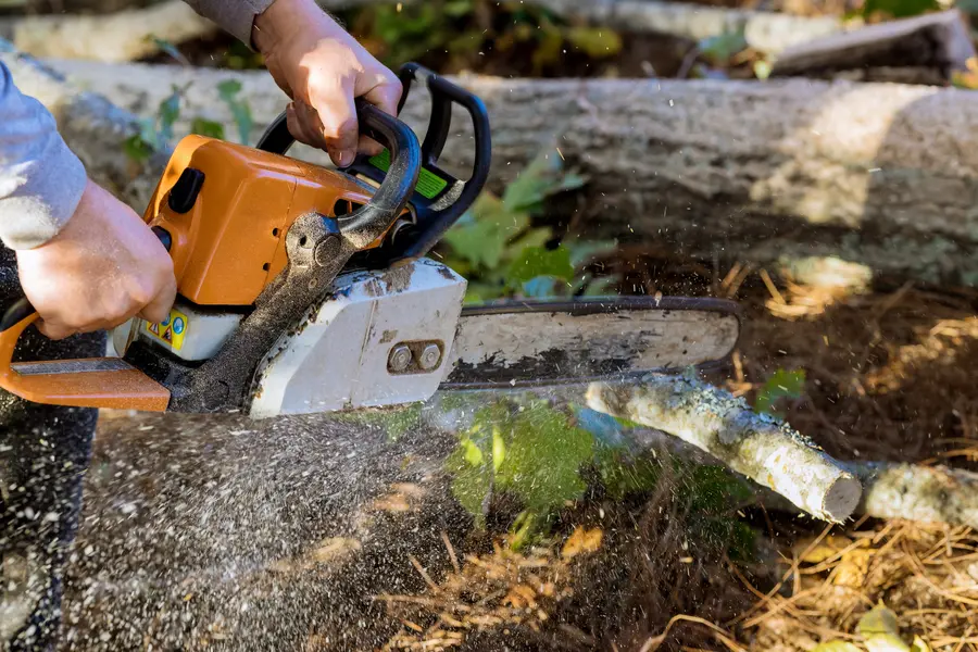 Reputable Tree Services Pollock Pines, CA Reputable Tree Services Pollock Pines, CA